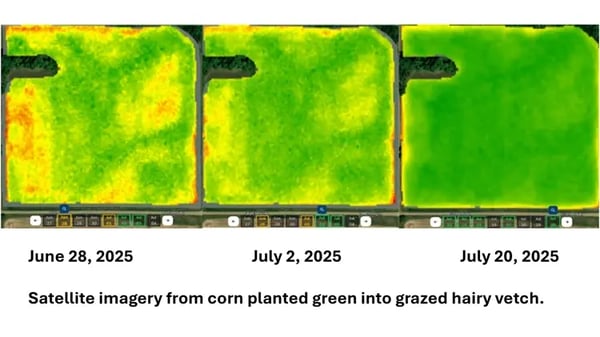 Corn - satellite imagery of nitrogen in corn field 2026